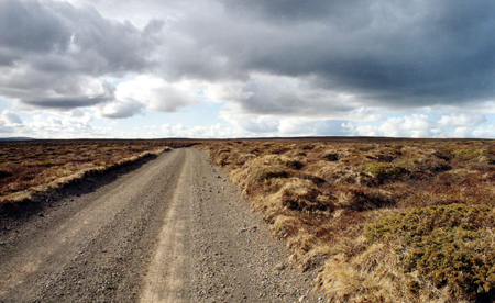 Island_2005_17