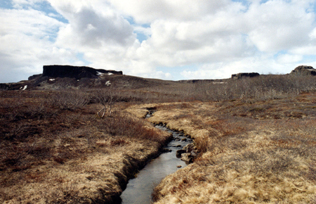 Island_2005_28