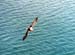 Island_2005_15