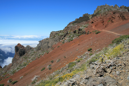 LaPalma_2008_36