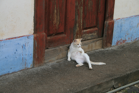 LaPalma_2008_45