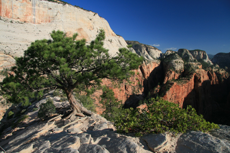 59_Zion_AngelsLanding